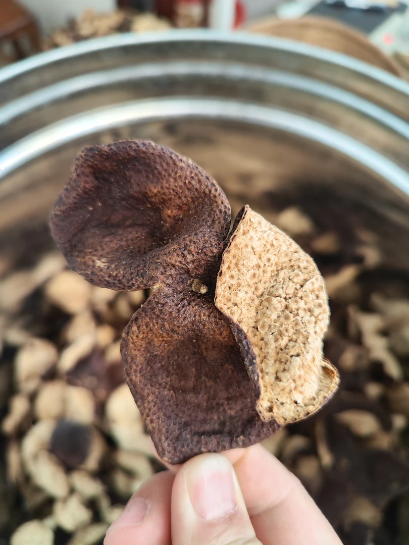 【梁太推介】2019年新会梅江老树二红皮口感香醇回甘