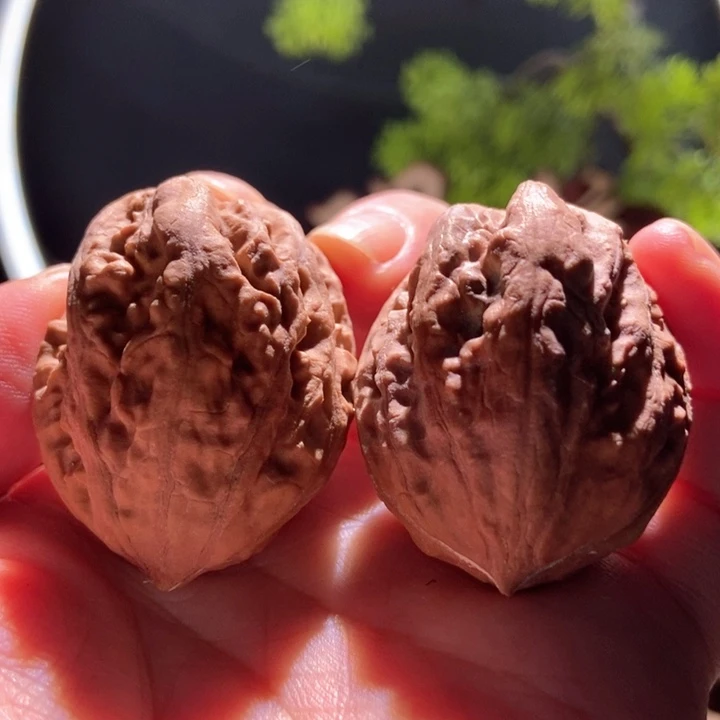 吊坠文玩核桃楸玥核6花皮