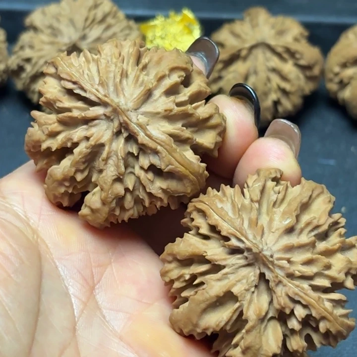 李***学文玩核桃吊坠秦岭灯笼22