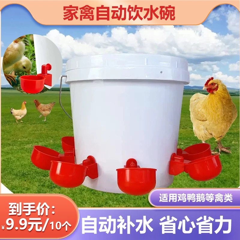 鸡用自动饮水器鸡鸭鹅饮水碗喝水碗鹌鹑家禽饮水器雏鸡鸭鸟饮水器
