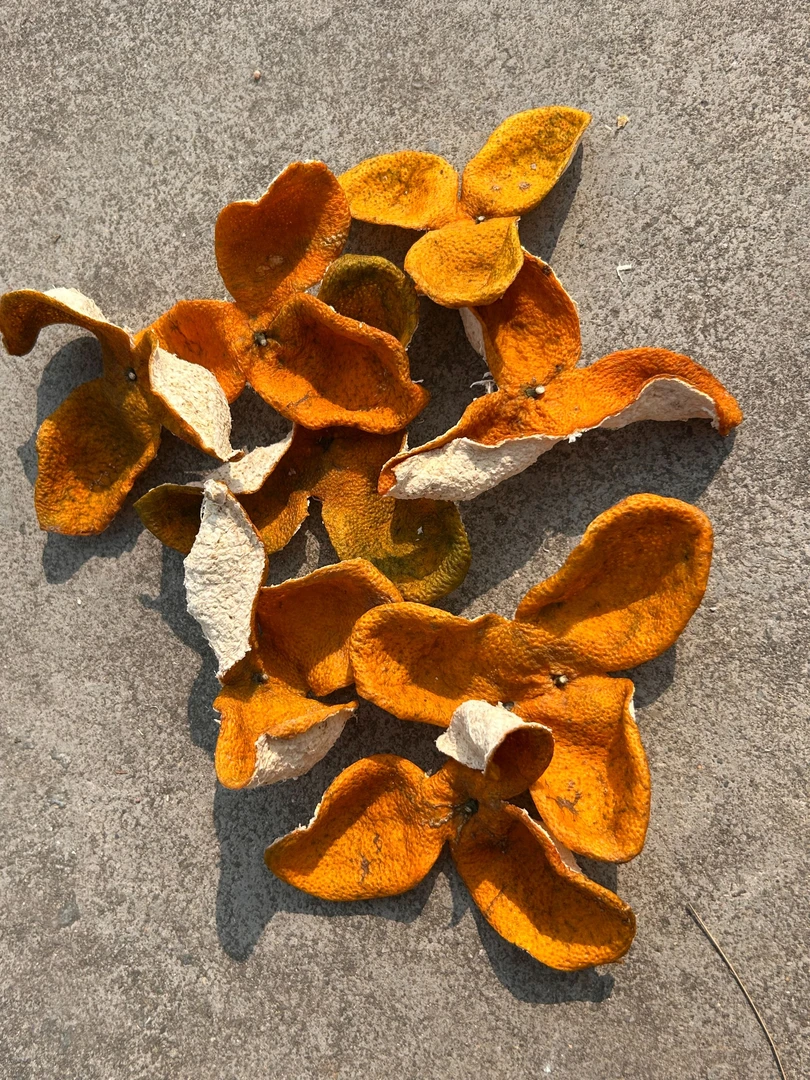 2025年正宗新会大红陈皮