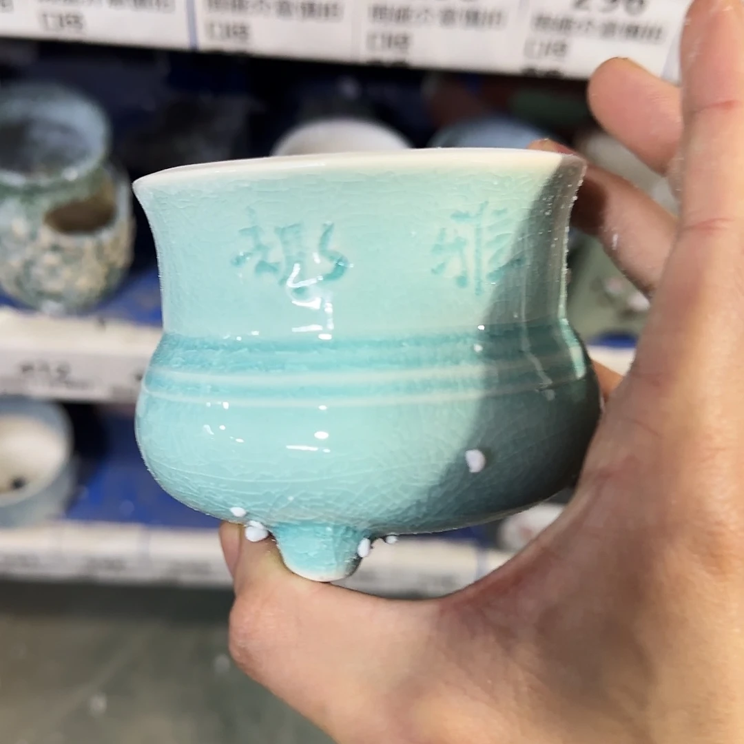 福利局绿植多肉盆［凑9元包邮24小时发］413