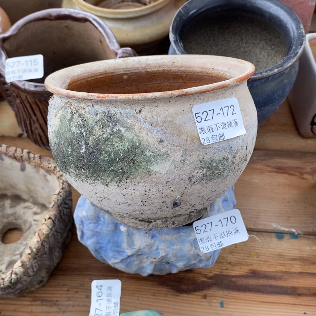 172号多肉盆口径10