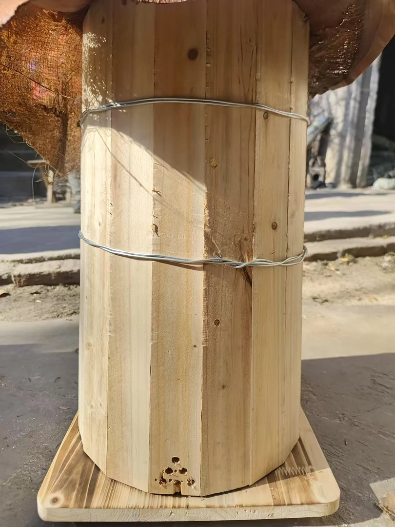 达人专属老式蜂桶大小头圆桶杉木招蜂桶加厚碳化诱蜂桶中蜂蜜蜂桶