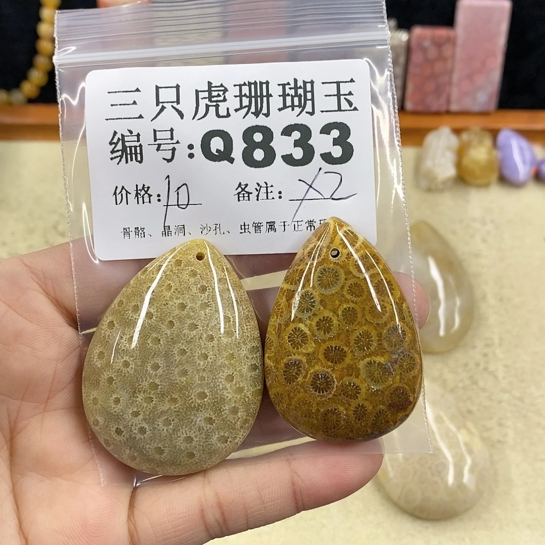 硅化珊瑚（珊瑚玉）1未镶嵌*‍****
