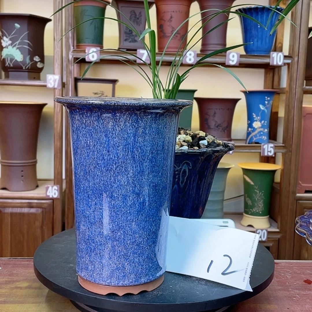 【闪购商品】紫砂花盆晴**山兰花4678874346777544