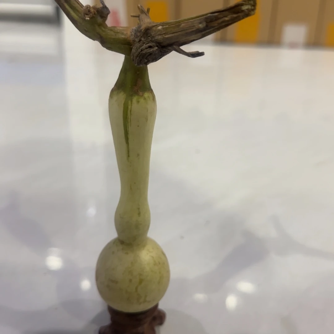 青皮不包成青皮不包成