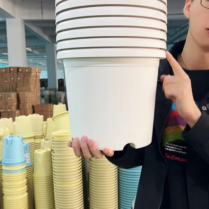 微瑕5号四季口29高24.5白色无托7只