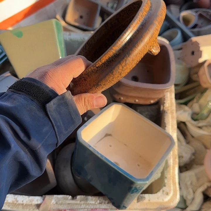 是因为她太喜欢了所以还是觉得不