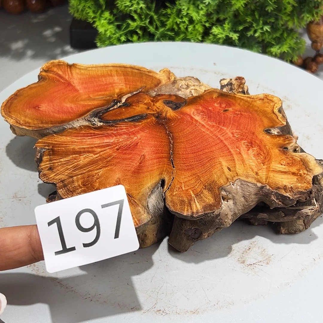 梨木薄***乐火琉璃……