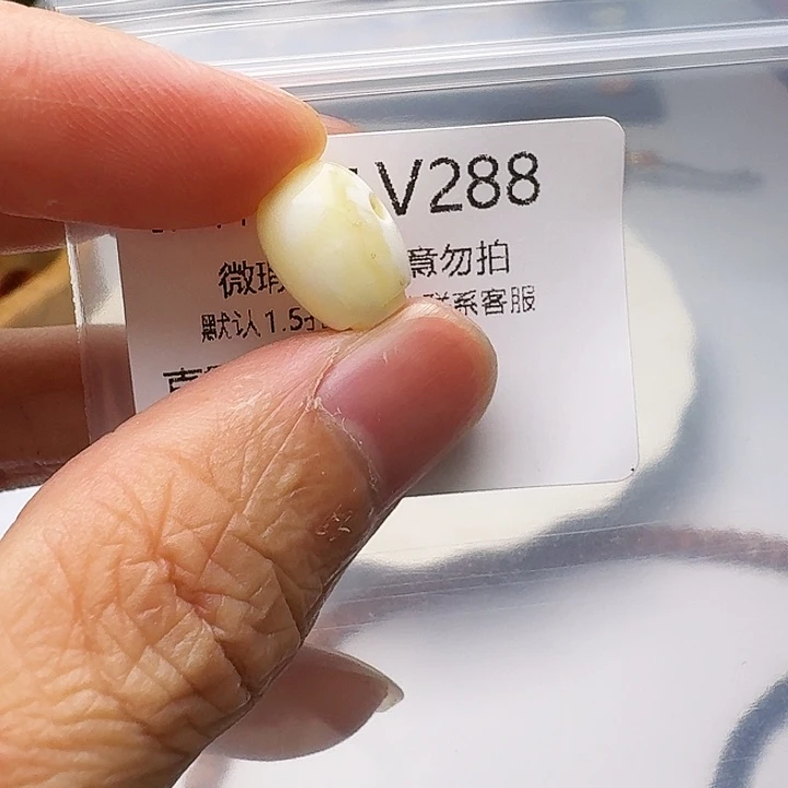 裸石琥珀未镶嵌琥珀
