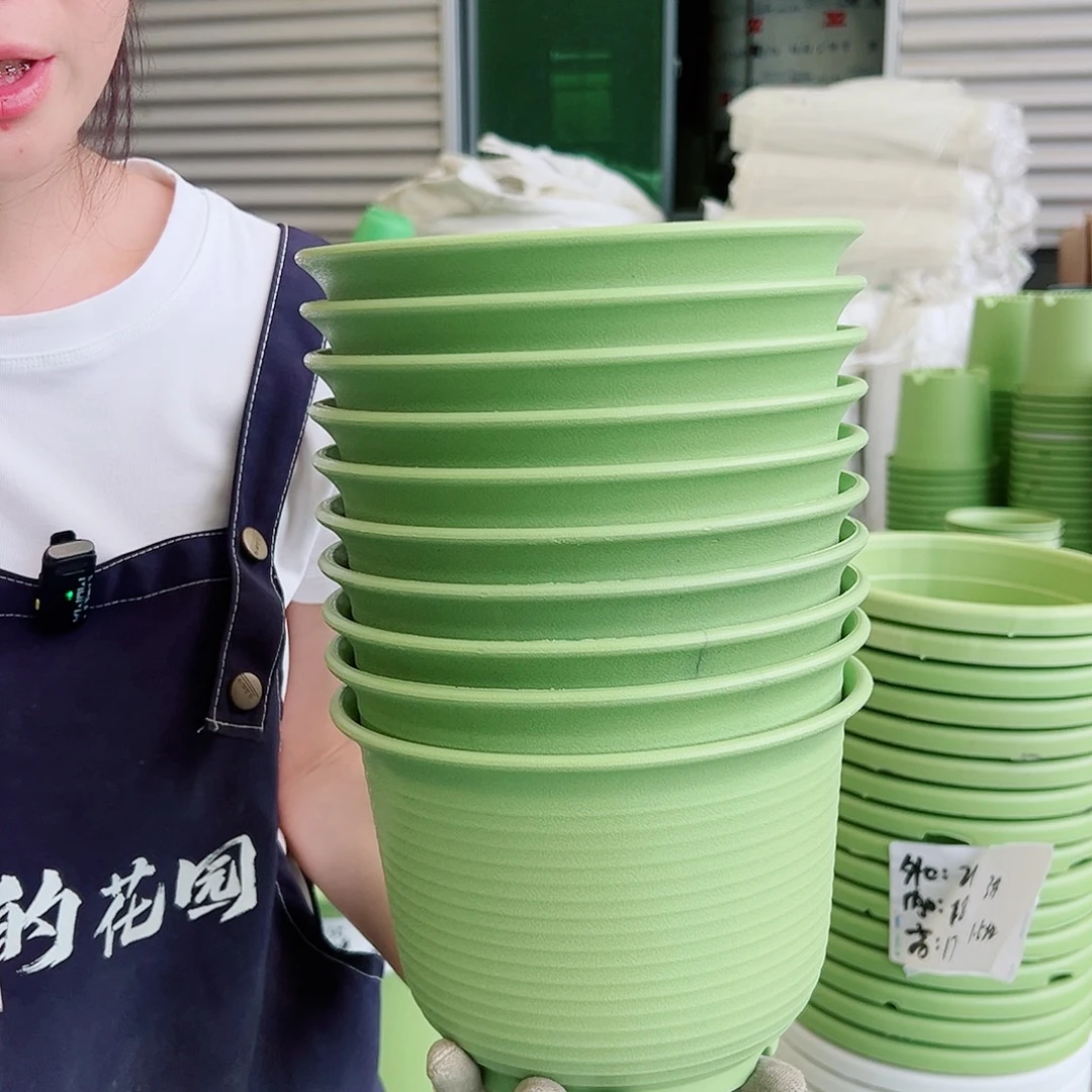 瑕疵仿陶B2果绿10个无托