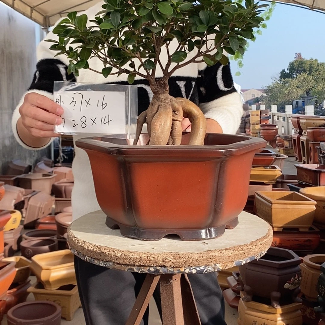 紫砂花盆紫砂花盆