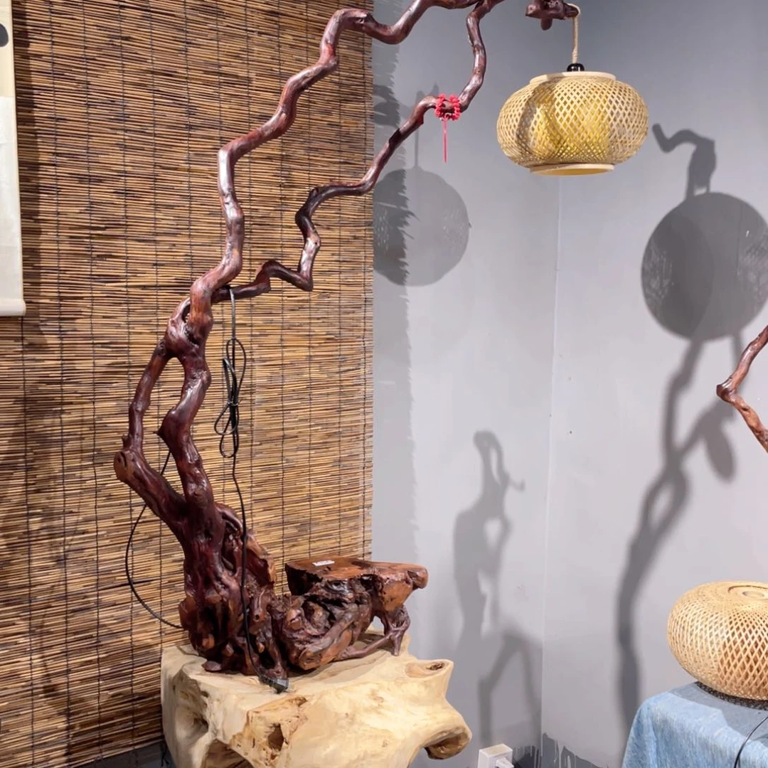 木涅****）Z997号啊啊啊啊啊啊啊啊啊啊