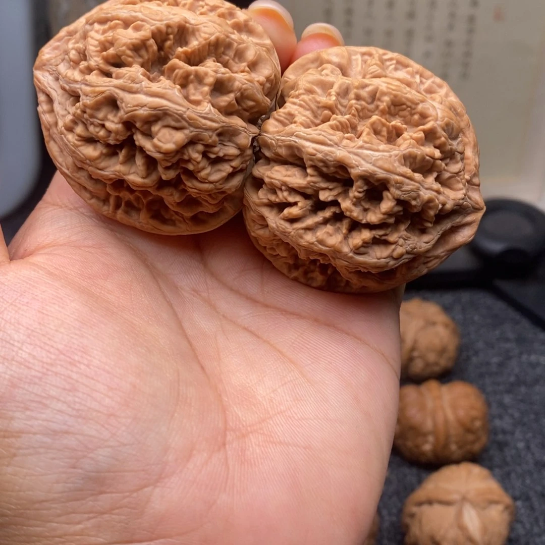 文玩核桃把件46大粗筋