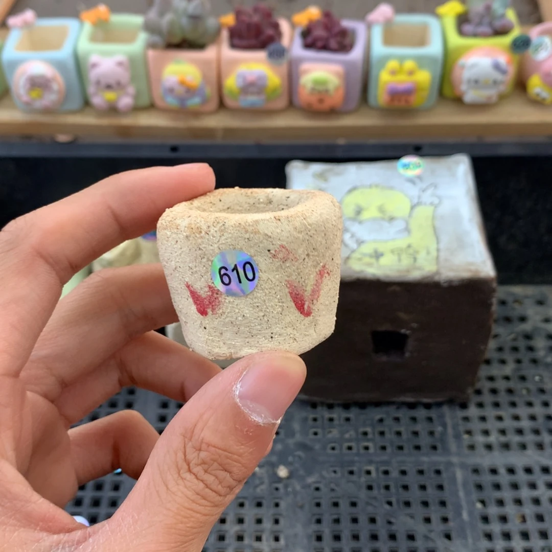 610花盆哈哈哈哈哈哈