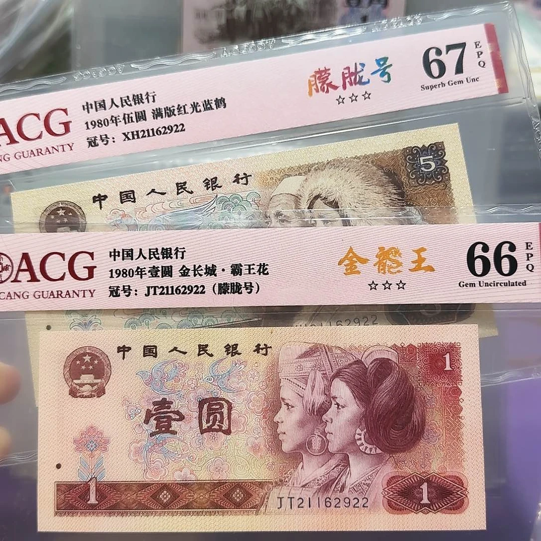 纸21162922。。。朦胧号全同号双尾