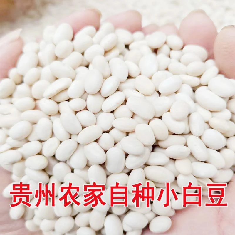 贵州珍珠小白豆新货农家自种小芸豆小白豆炖菜煲汤打豆浆豆类大米