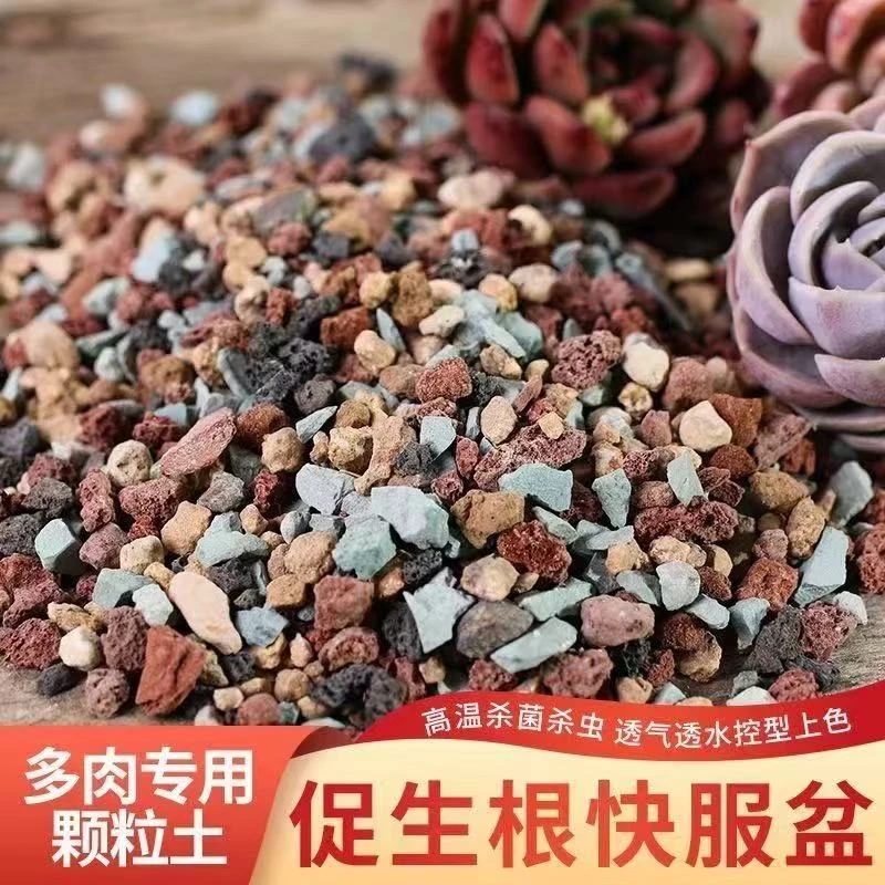 糖豆家多肉 多肉专用颗粒土