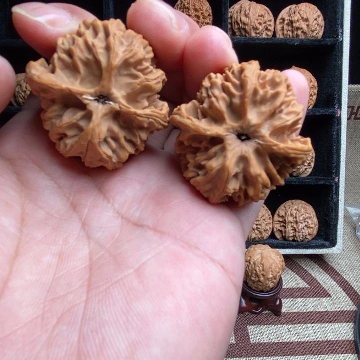 全品苹果园39尺寸