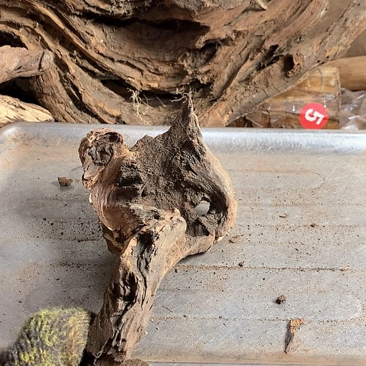 黄花梨/降香黄檀春**里