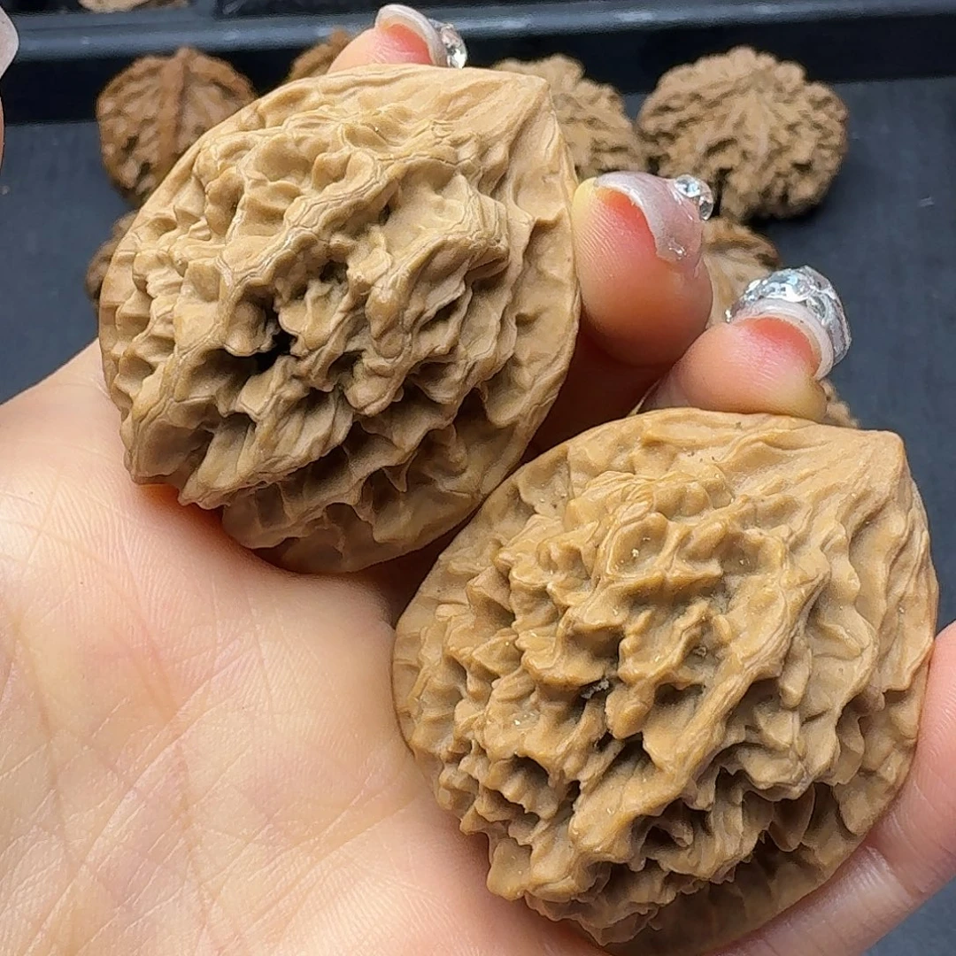 桃木突突突突突突突突