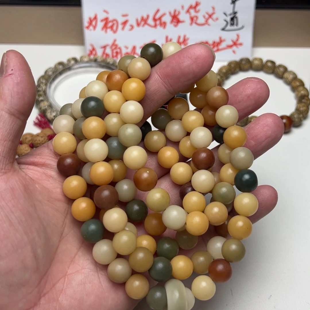 菩提根/象牙果手串特价处理