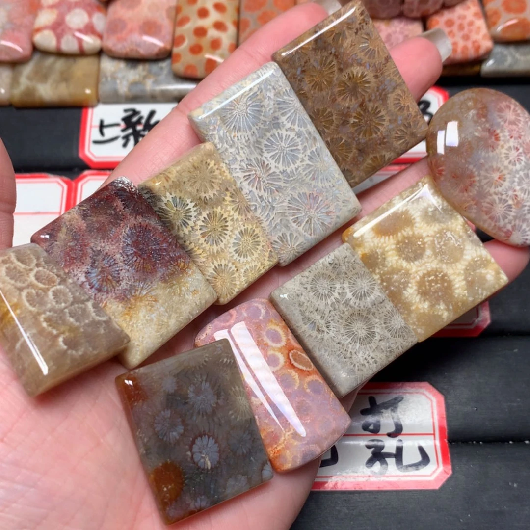 【闪购商品】未镶嵌颈饰硅化玉Y****
