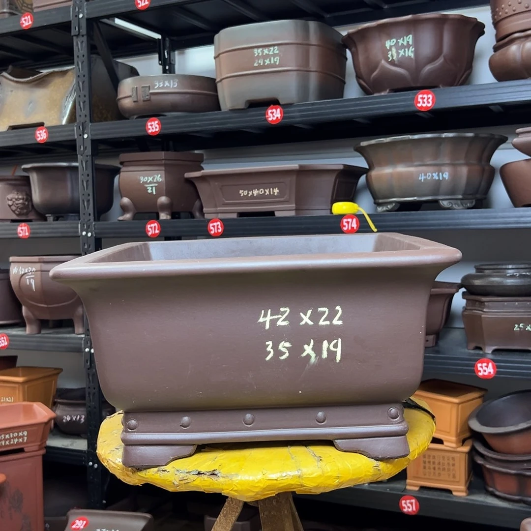 紫砂花盆呜呜呜呜呜好