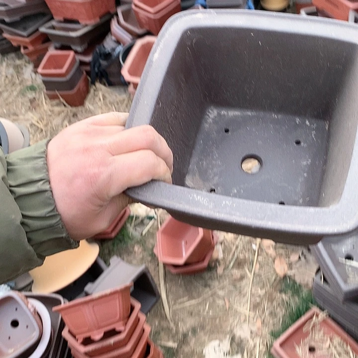 紫砂我要努力做自己喜欢的事情要