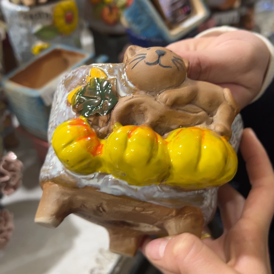 发2个满18.8爱退拉黑多肉花盆