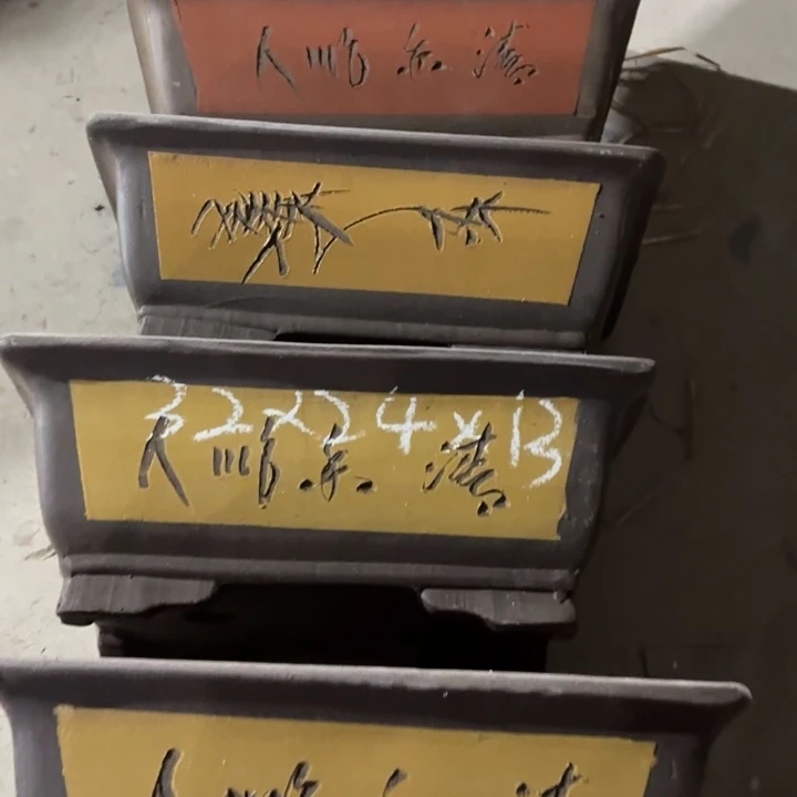 紫砂花盆100-5。   微瑕。