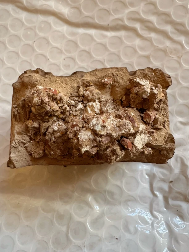 豆芽家烟熏土干造型蝴蝶