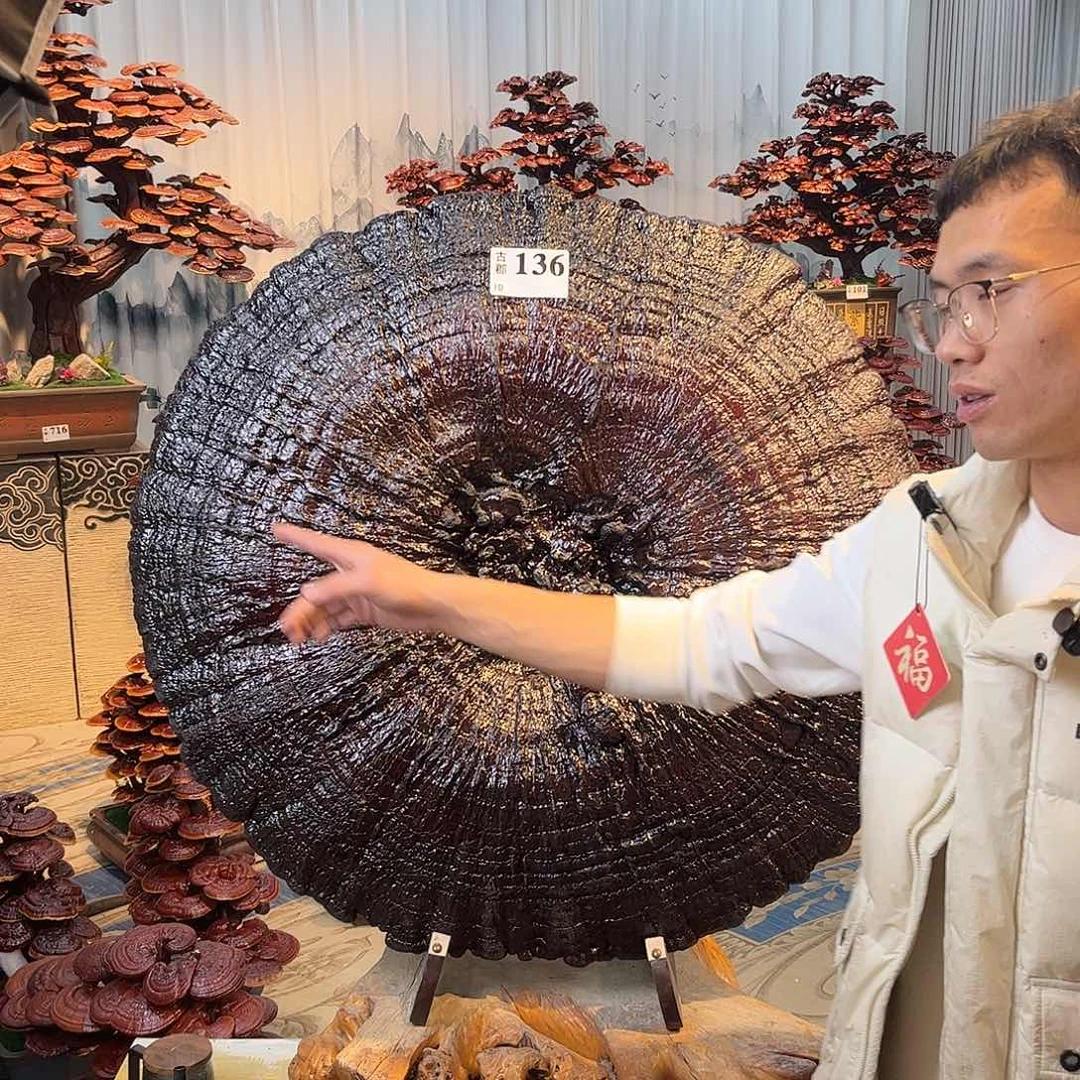 无花朵88888888880