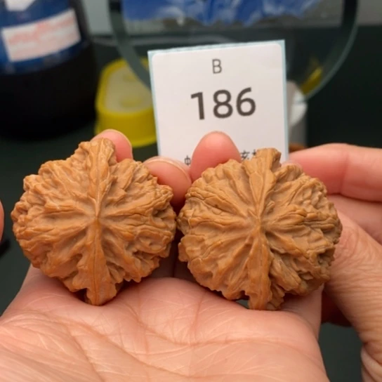 文玩核桃把件42.5全品苹果园186