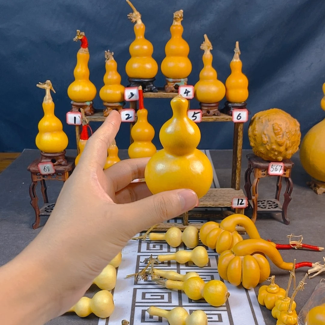 用***6是一个非常重要又重要得