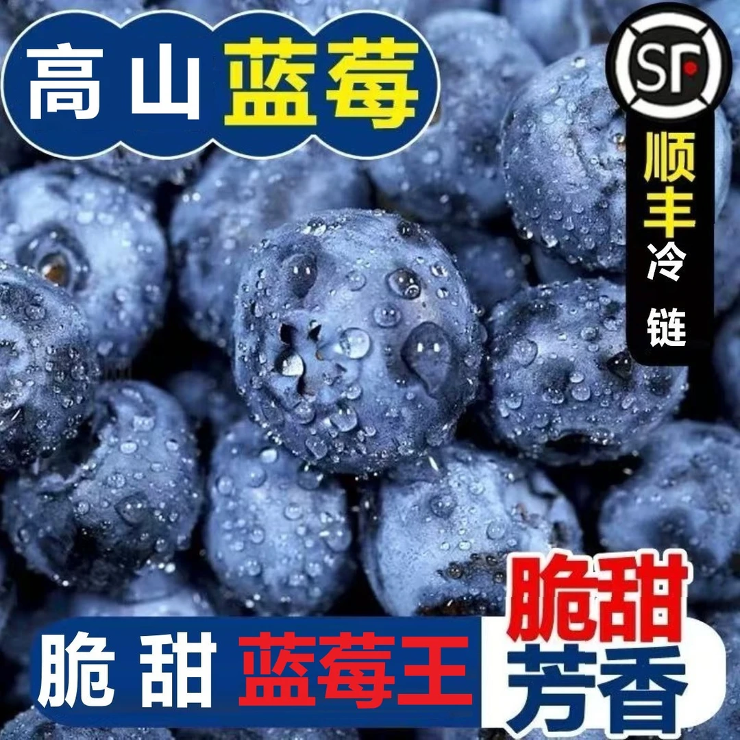 新鲜现摘露天 特大果蓝莓脆甜花香适合孕婴辅食水果ww