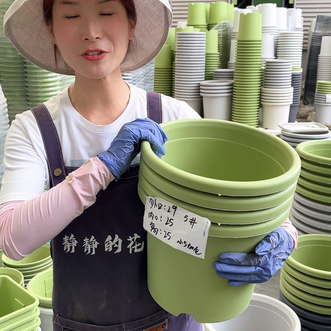 四季盆5#果绿色6个无托