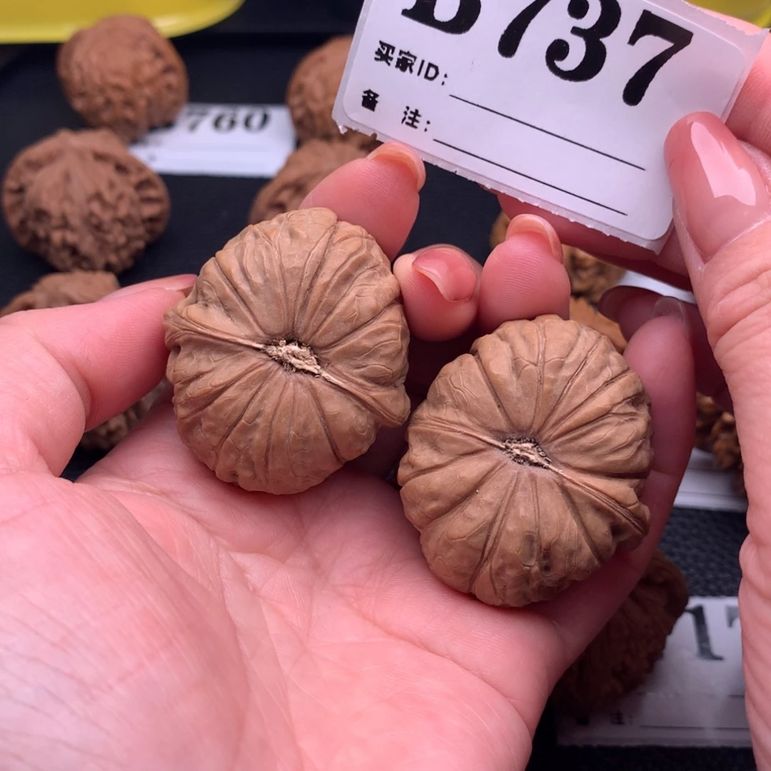 核桃南瓜737链接38尺全