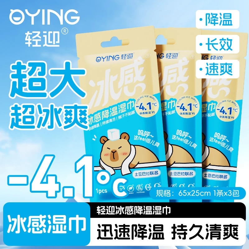 轻迎夏季降温止汗出行必备大尺寸便携式冰感降温湿巾