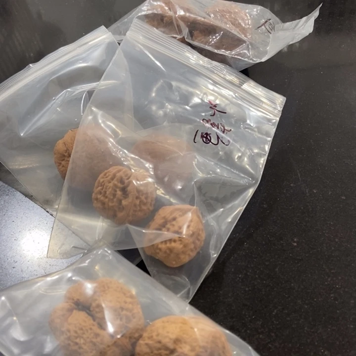 吊坠文玩核桃一单5对瑕疵