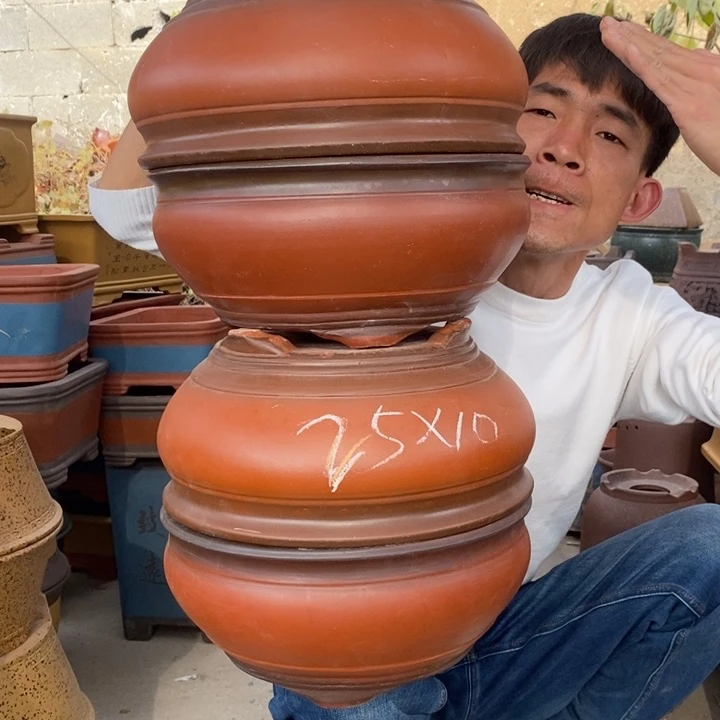 紫砂花盆紫砂特疼。紫砂