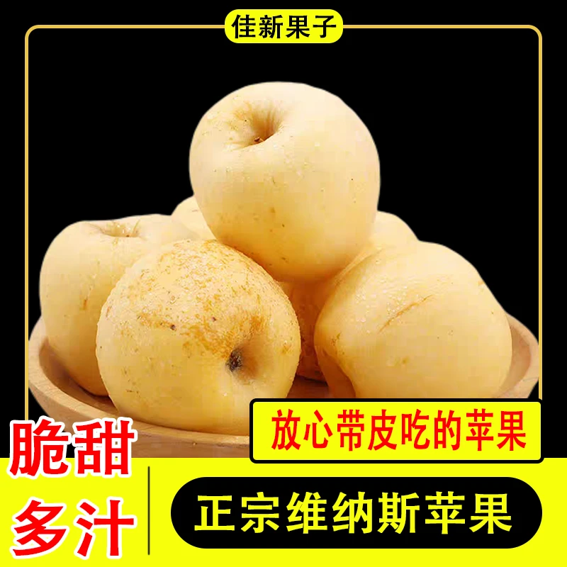 正宗山东黄金维纳斯苹果新鲜应季水果整箱发货新鲜采摘脆甜可口