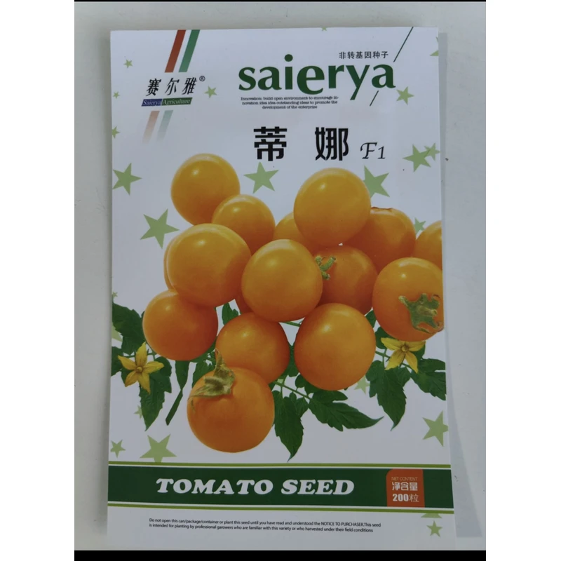 蒂娜菇娘柿子种子