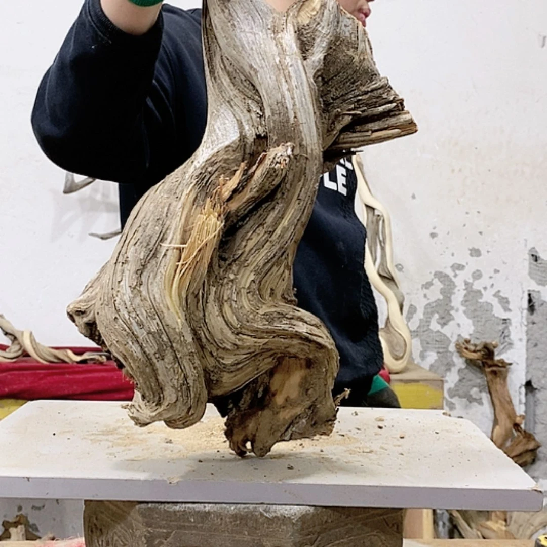 【闪购商品】柏木山*工我们都是好孩子