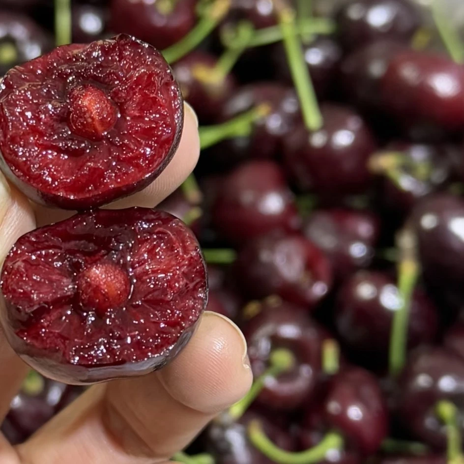 靓靓果园海运车厘子包邮(包配送) XL 3斤装 脆甜新鲜车厘子午智利智利