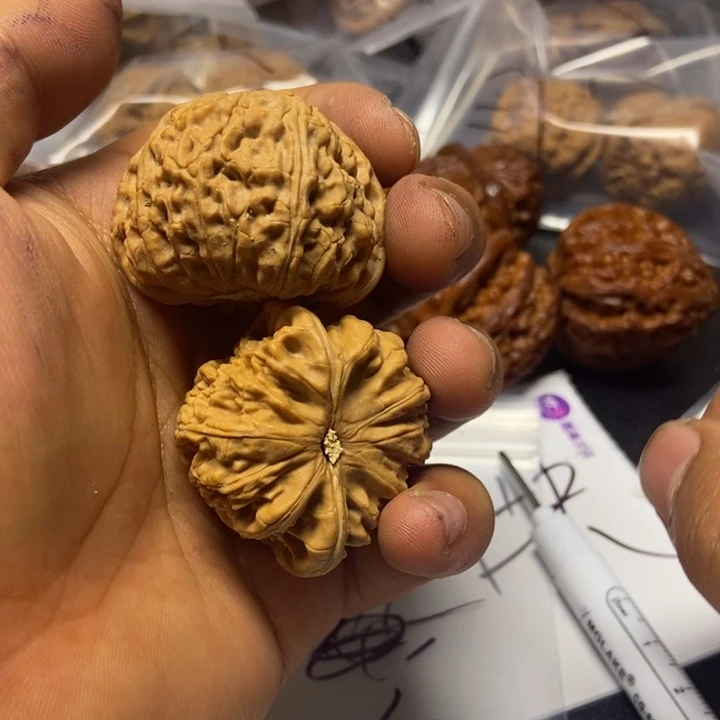 核桃五十号文玩核桃