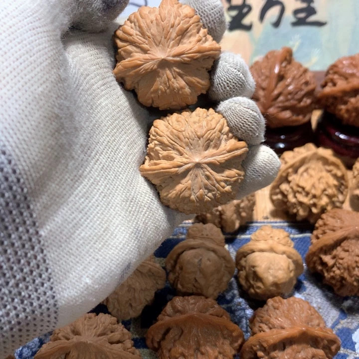 木***区哈哈哈哈哈哈哈哈