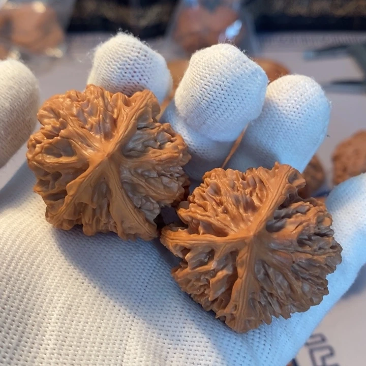 文玩核桃吊坠野生龙爪40