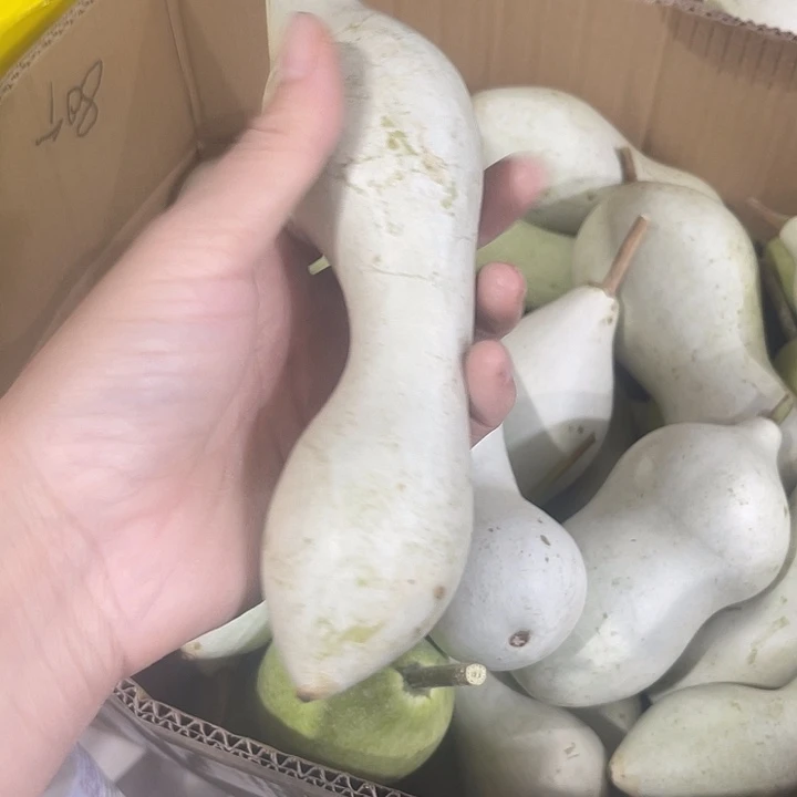 非洲紫檀（红花梨）西****风